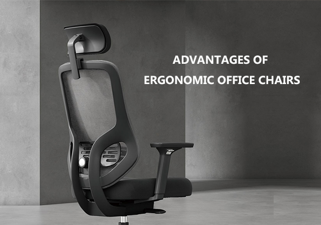 Advantages of Ergonomic Office Chairs 650.jpg